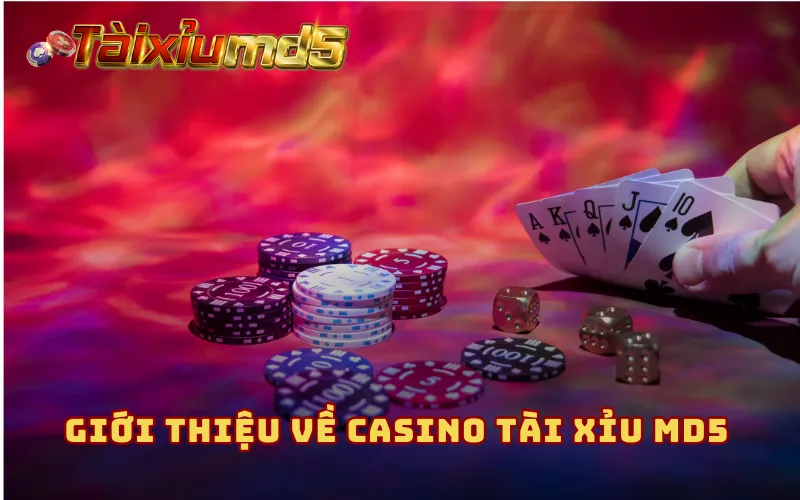 Giới thiệu về casino Tài Xỉu MD5