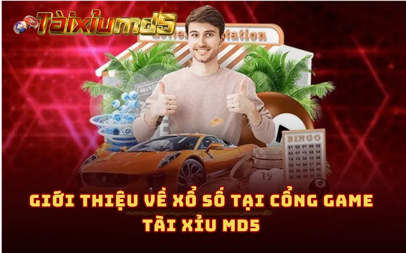 Giới thiệu về xổ số tại cổng game Tài Xỉu MD5