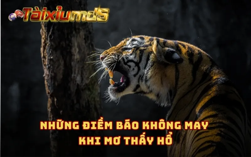 Những điềm báo không may khi mơ thấy hổ