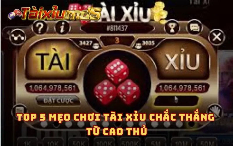 Top 5 mẹo chơi tài xỉu chắc thắng từ cao thủ